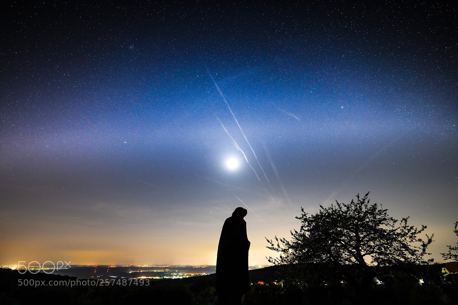 Nikon D850 sample photo. Under the stars photography