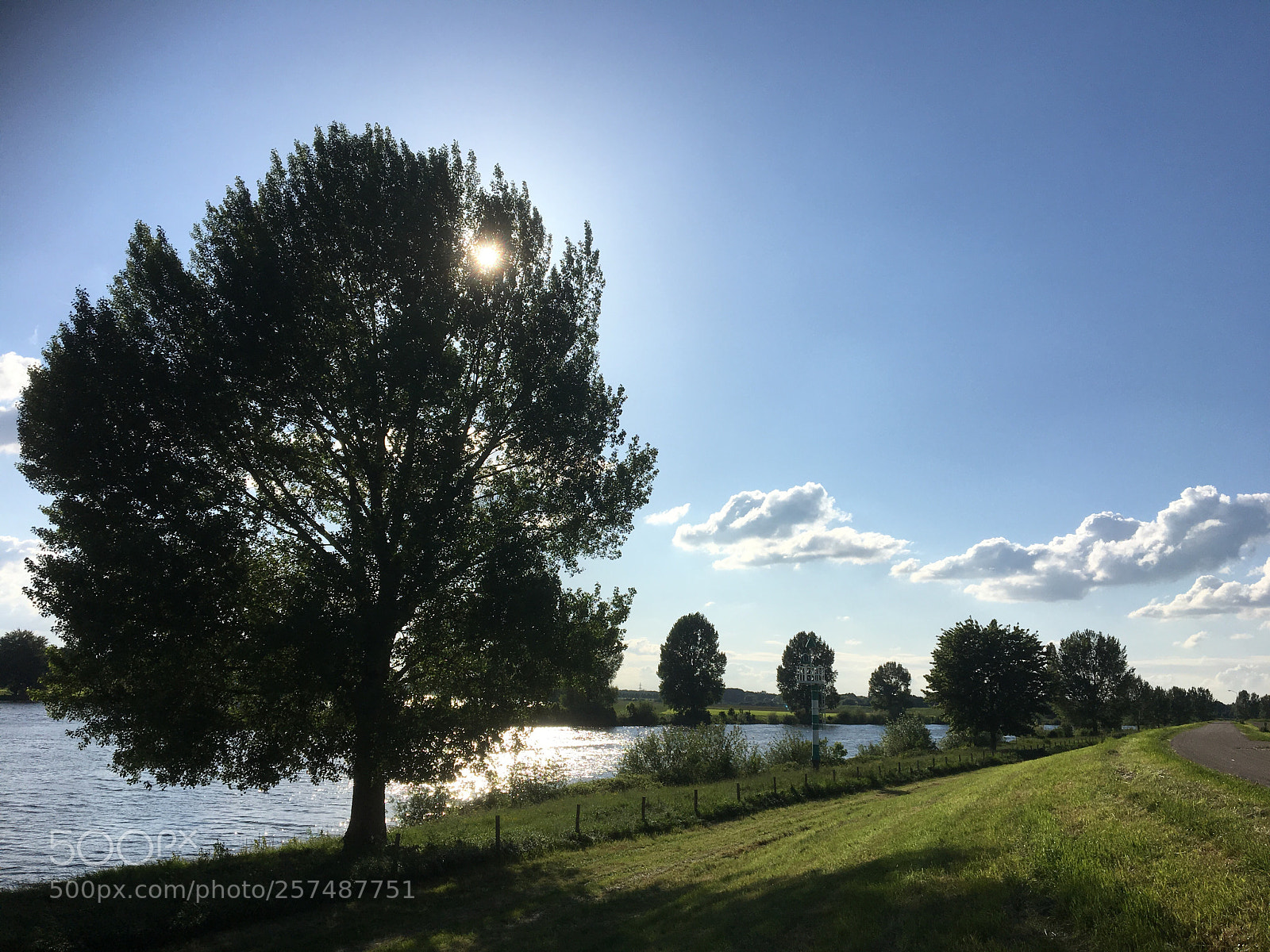 Apple iPhone 6s sample photo. River mesh in summer photography