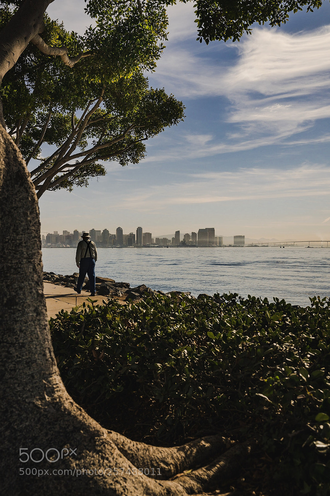Sony a7R II sample photo. Taking a stroll photography