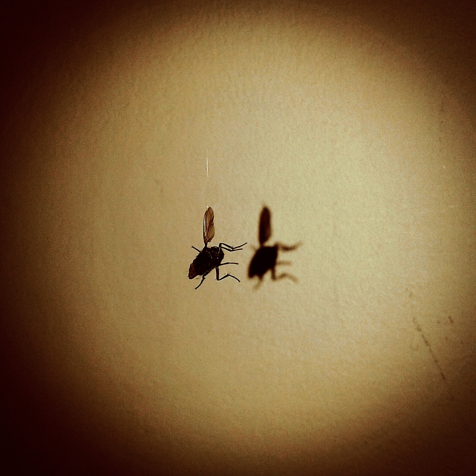 Samsung Galaxy Core sample photo