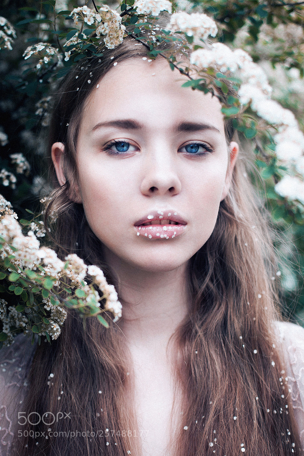 Canon EOS 5D Mark II sample photo. Princess spring photography