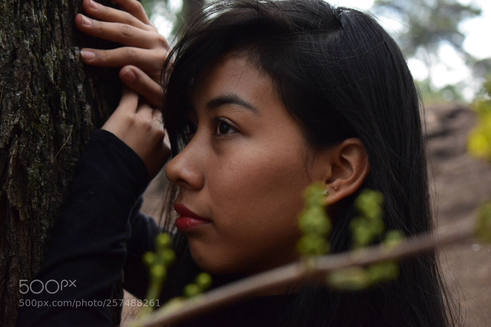 Nikon D5300 sample photo. Ley de la mirada photography