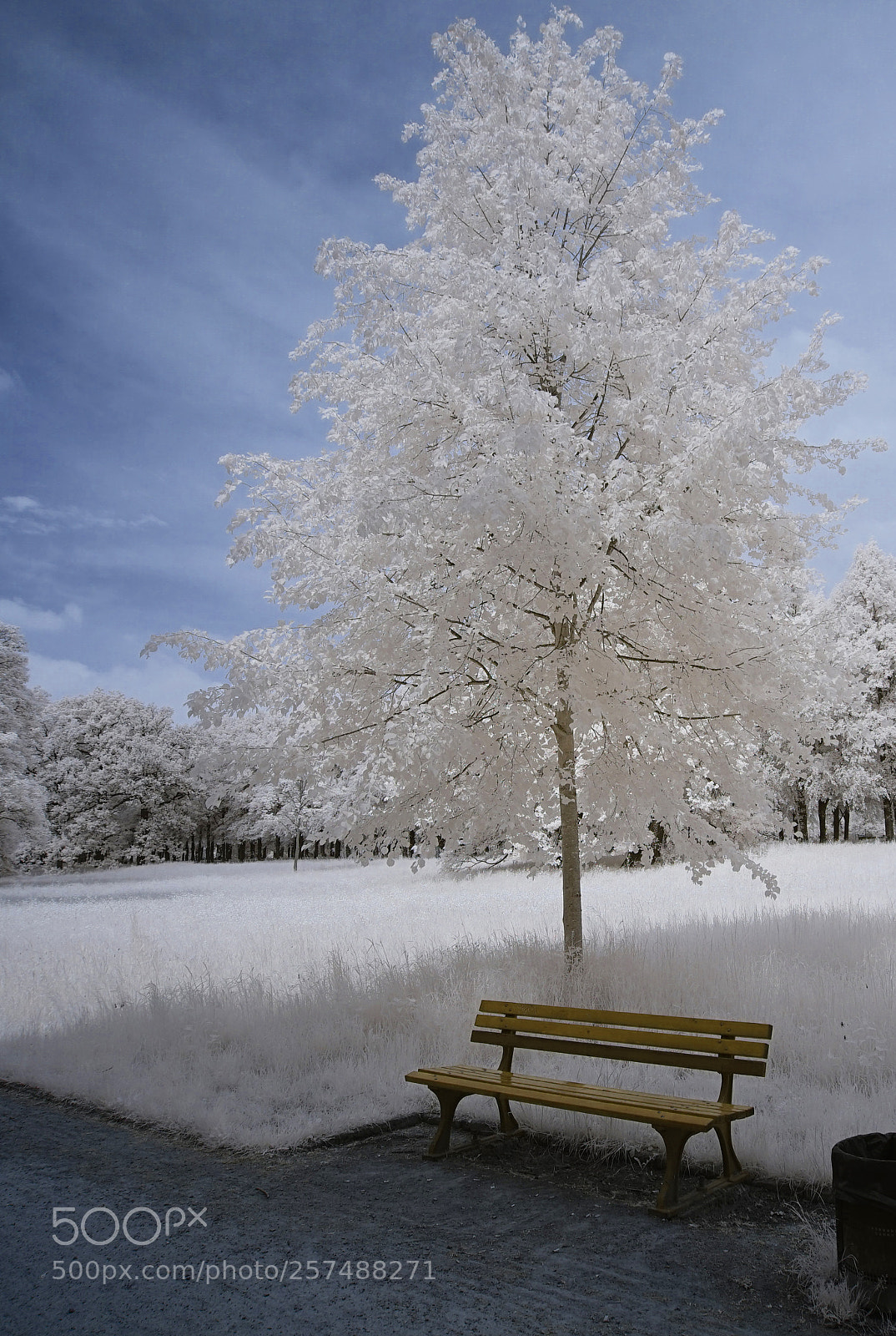 Sony a7 sample photo. :) photography