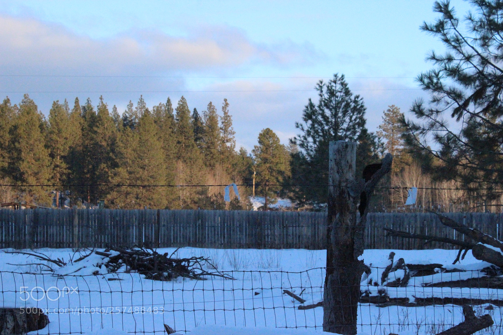 Canon EOS 600D (Rebel EOS T3i / EOS Kiss X5) sample photo. Img photography