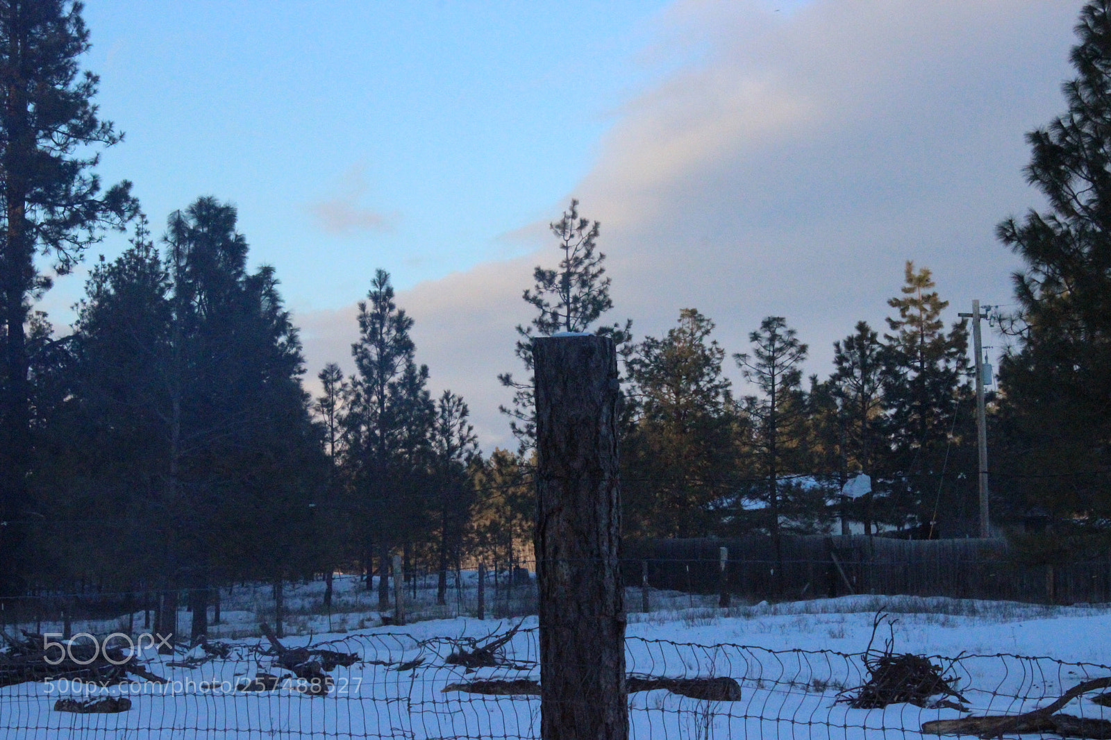 Canon EOS 600D (Rebel EOS T3i / EOS Kiss X5) sample photo. Img photography