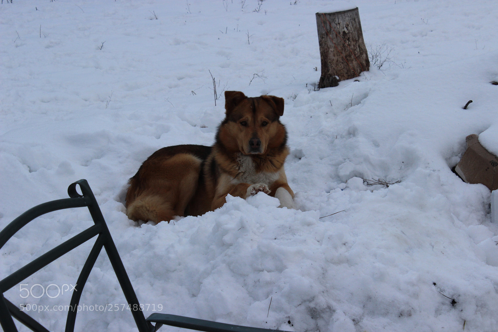 Canon EOS 600D (Rebel EOS T3i / EOS Kiss X5) sample photo. Img photography