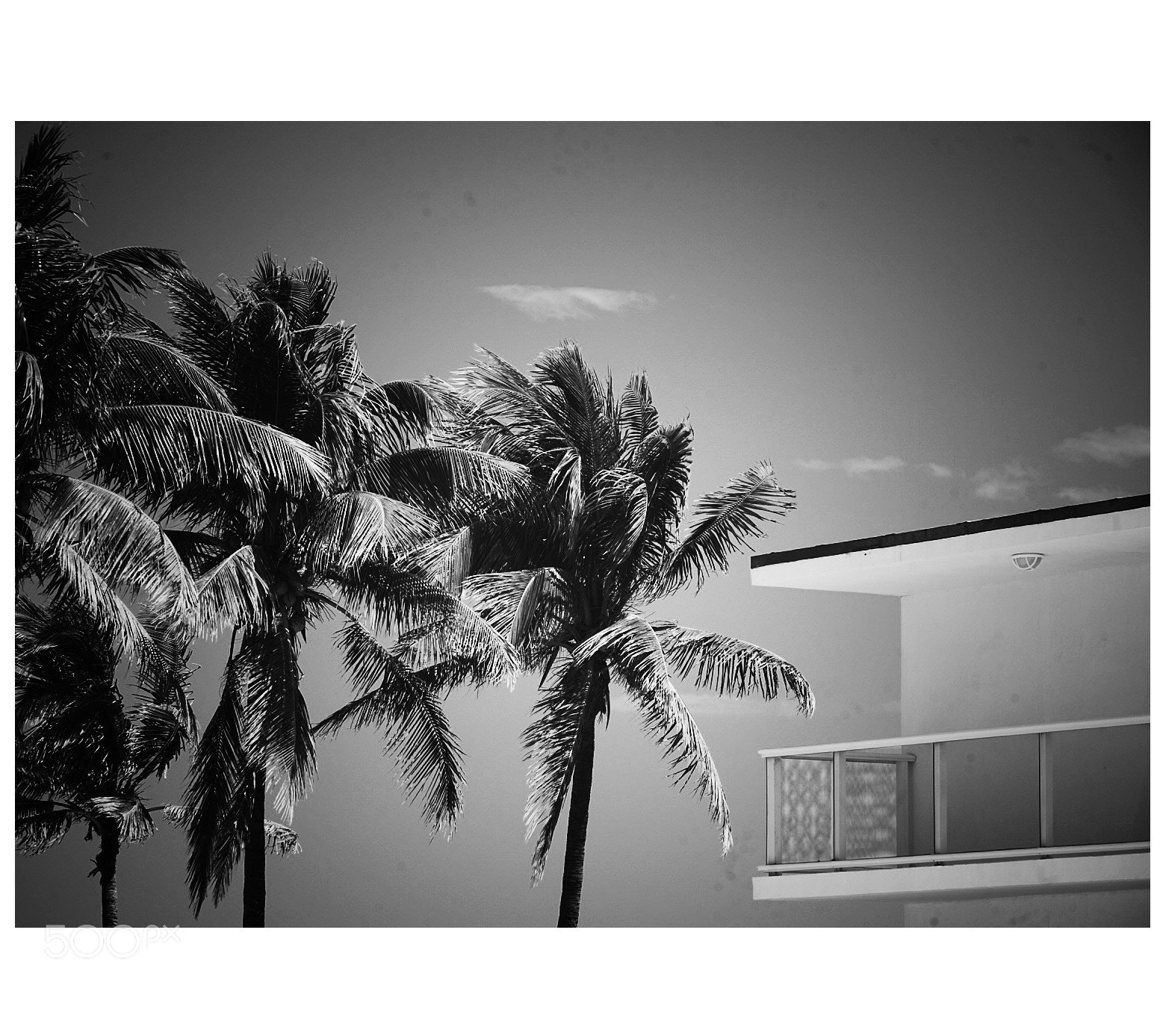Sony a7R II sample photo. Untitled photography