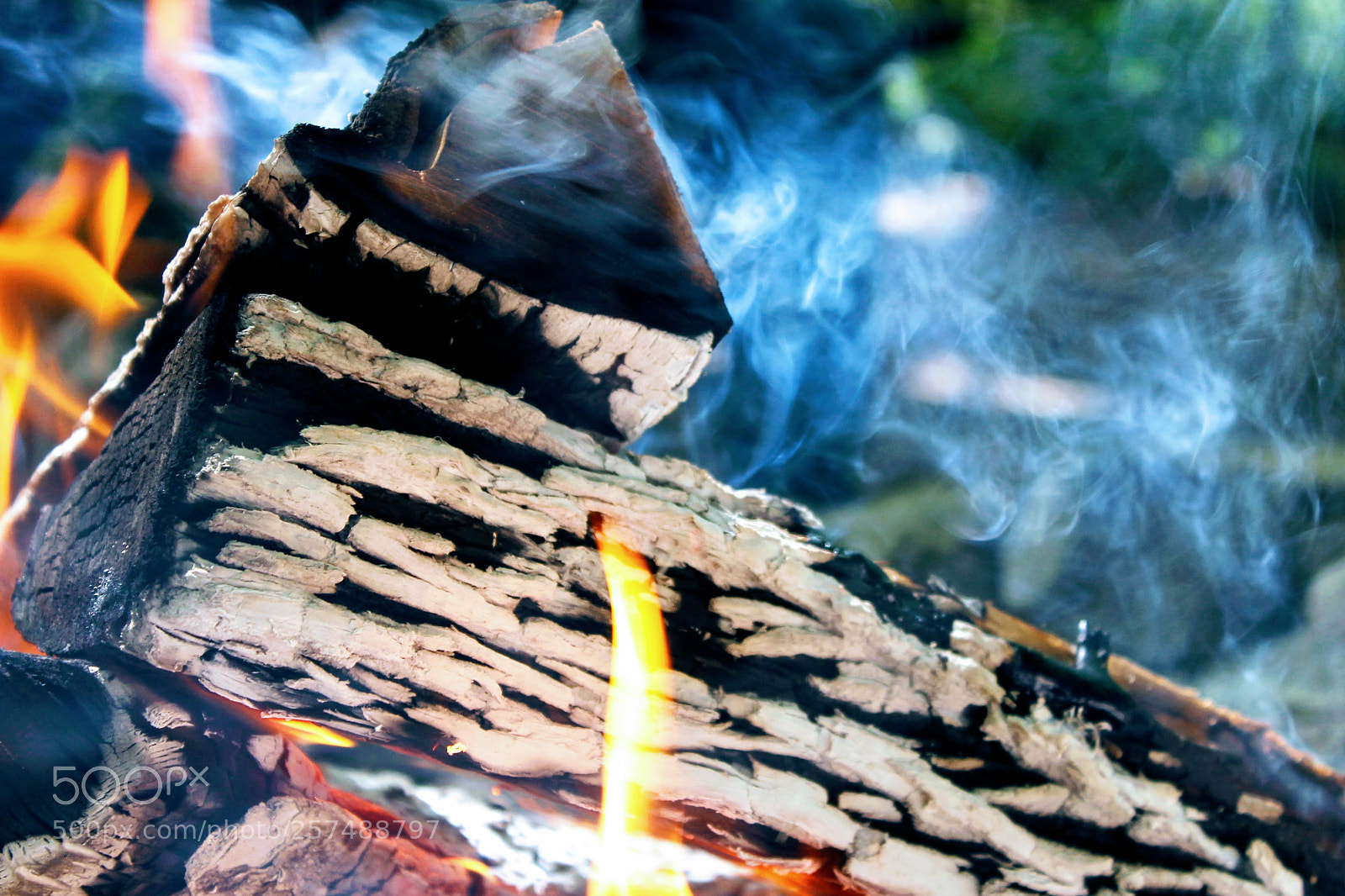 Canon EOS 1100D (EOS Rebel T3 / EOS Kiss X50) sample photo. A fire for the photography