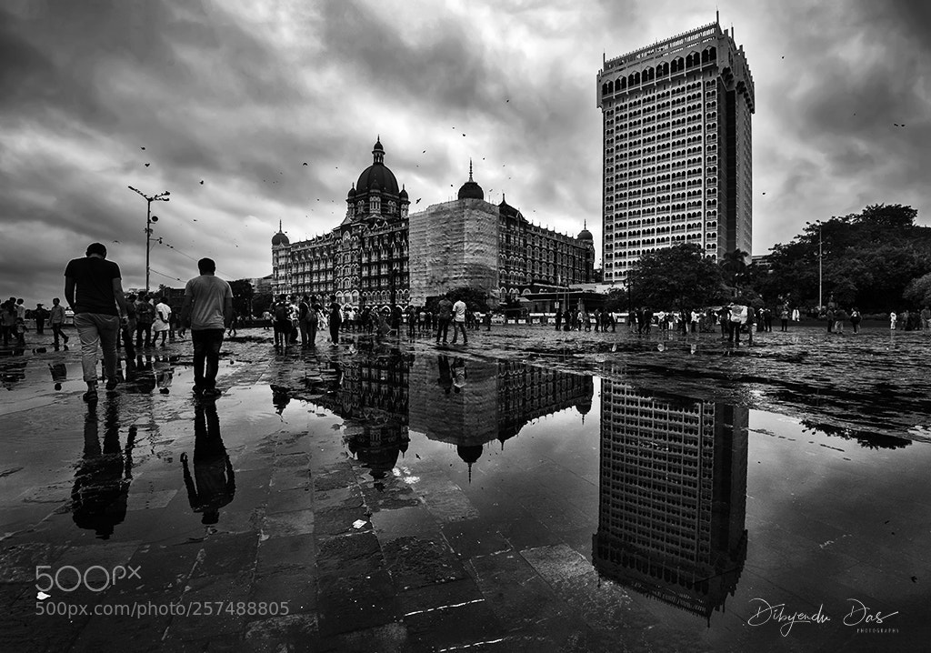 Nikon D750 sample photo. City after rain photography