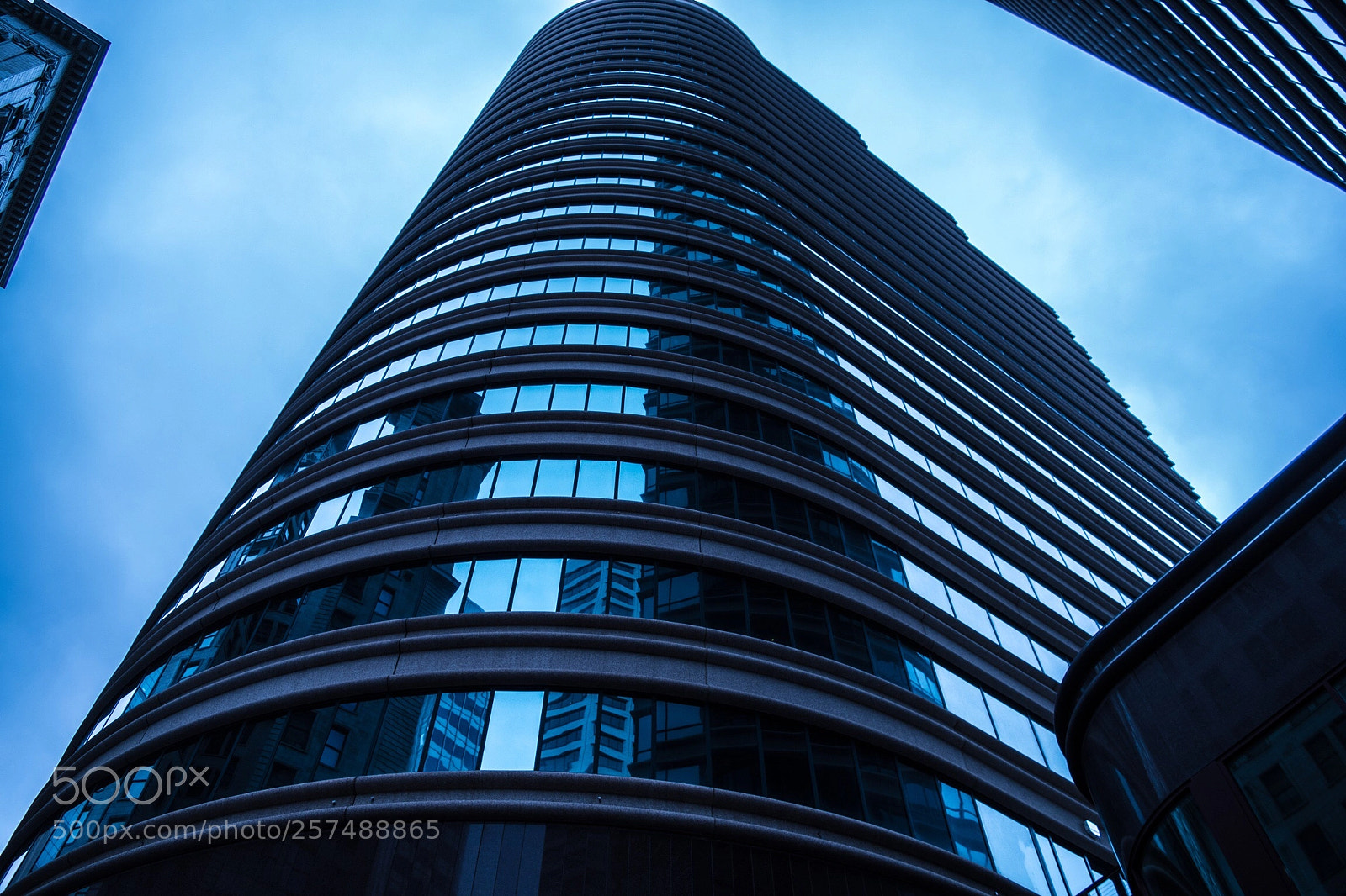 Nikon D5500 sample photo. Reflection photography