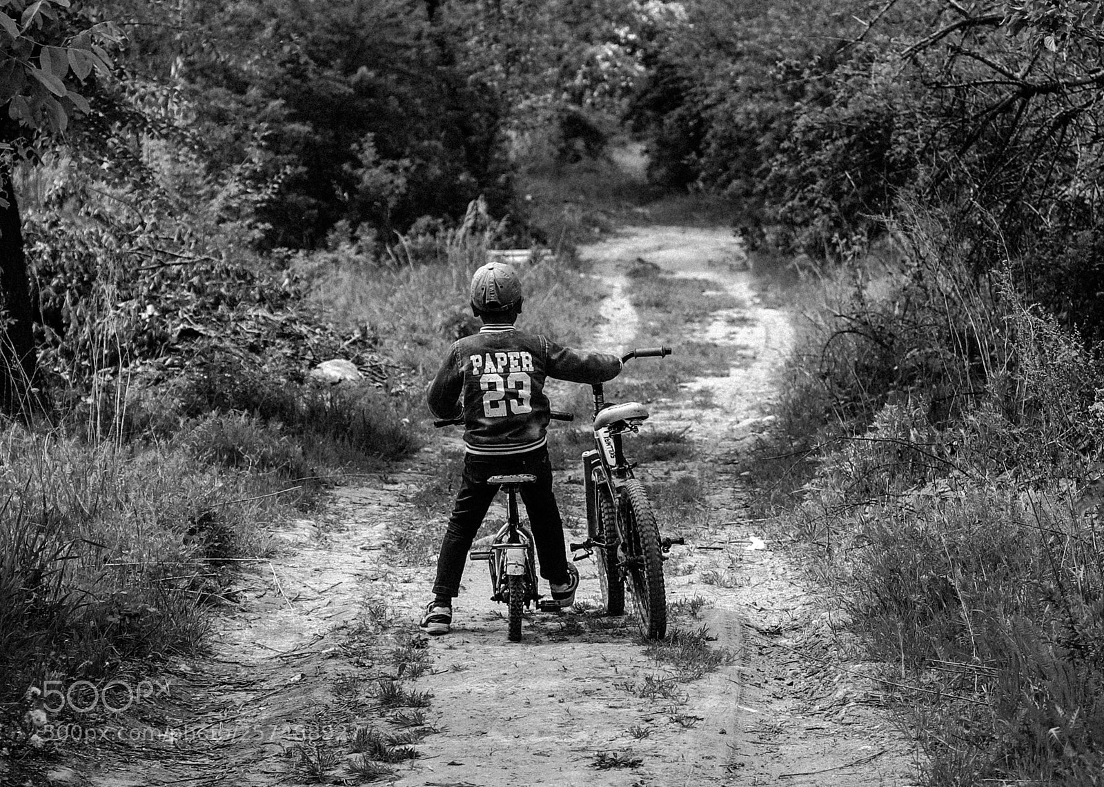 Canon EOS 6D Mark II sample photo. Little thief photography