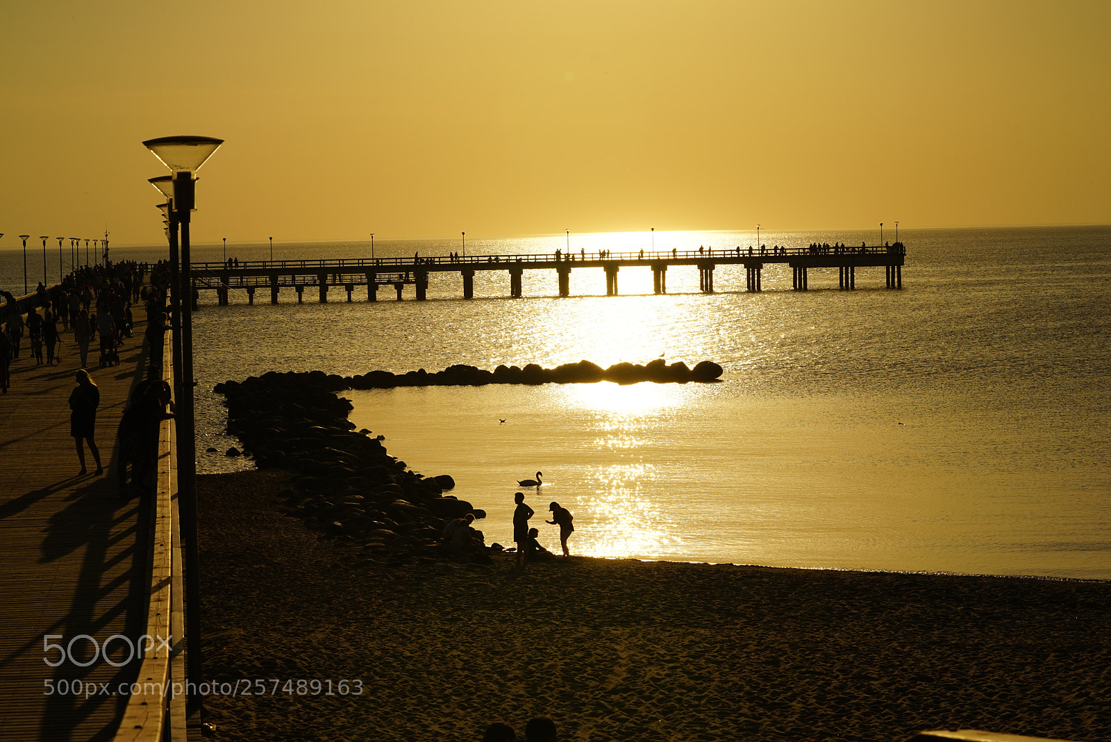 Sony a7R sample photo. Dsc photography