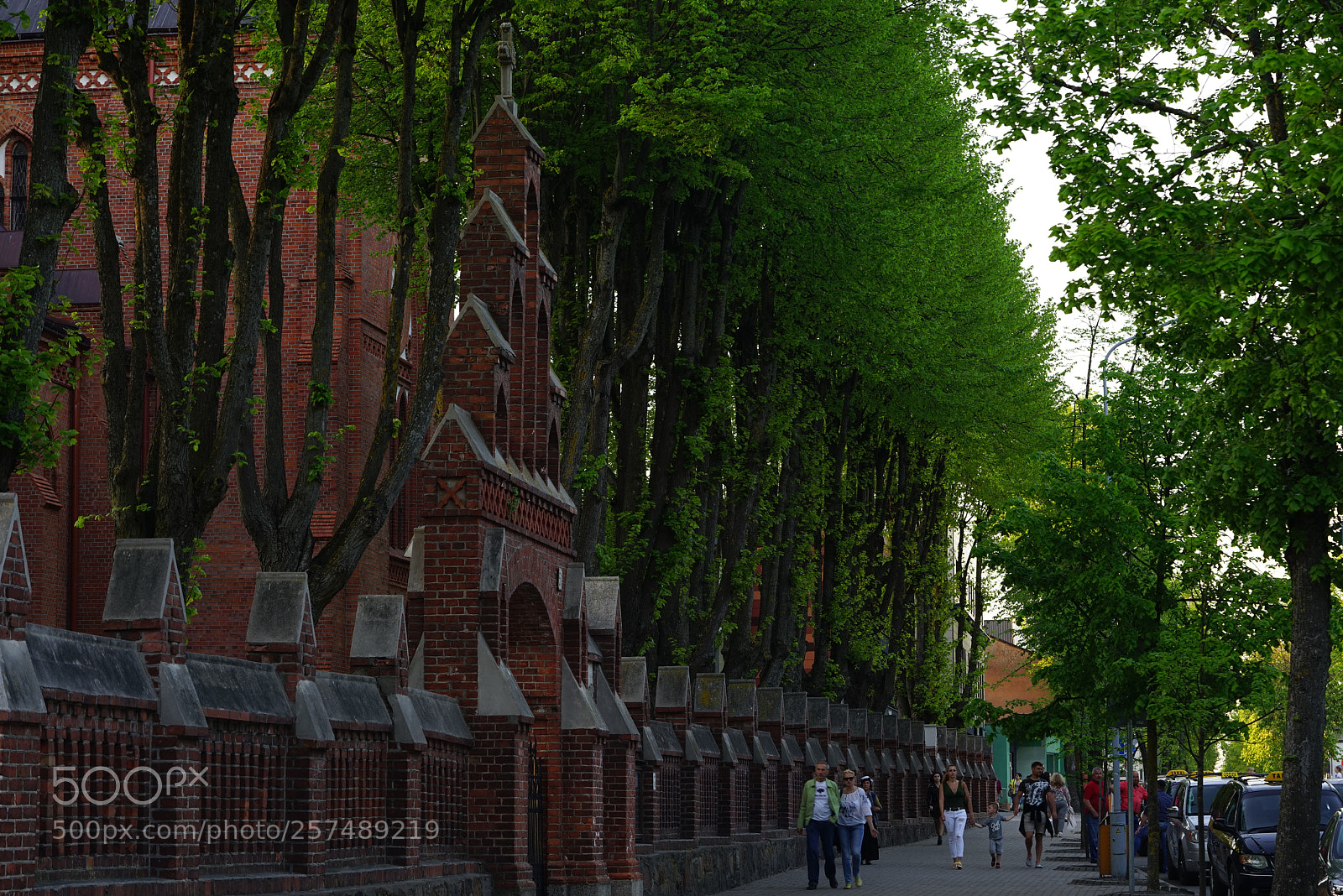Sony a7R sample photo. Dsc photography