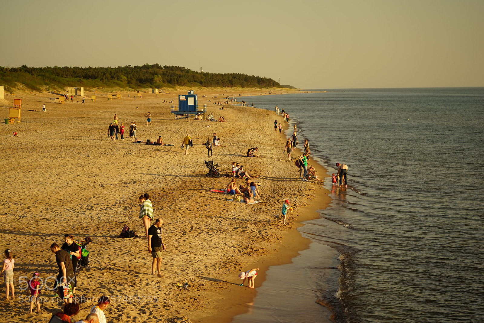 Sony a7R sample photo. Dsc photography