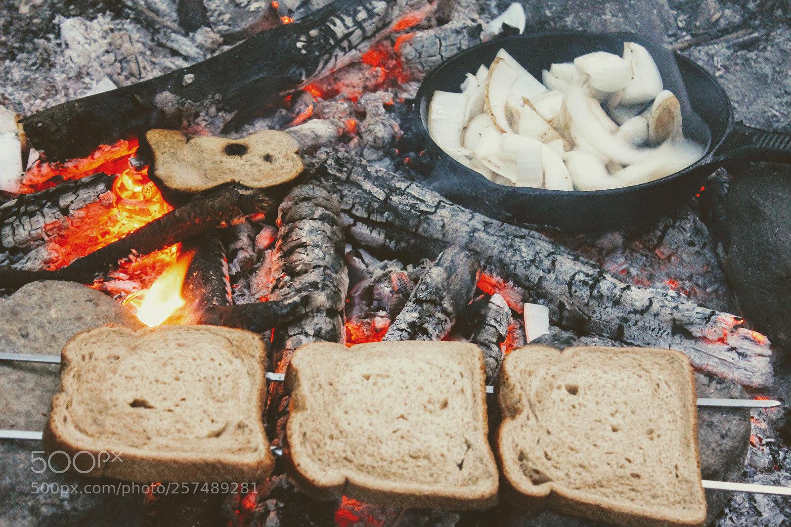 Canon EOS 1100D (EOS Rebel T3 / EOS Kiss X50) sample photo. Who's hungry? photography