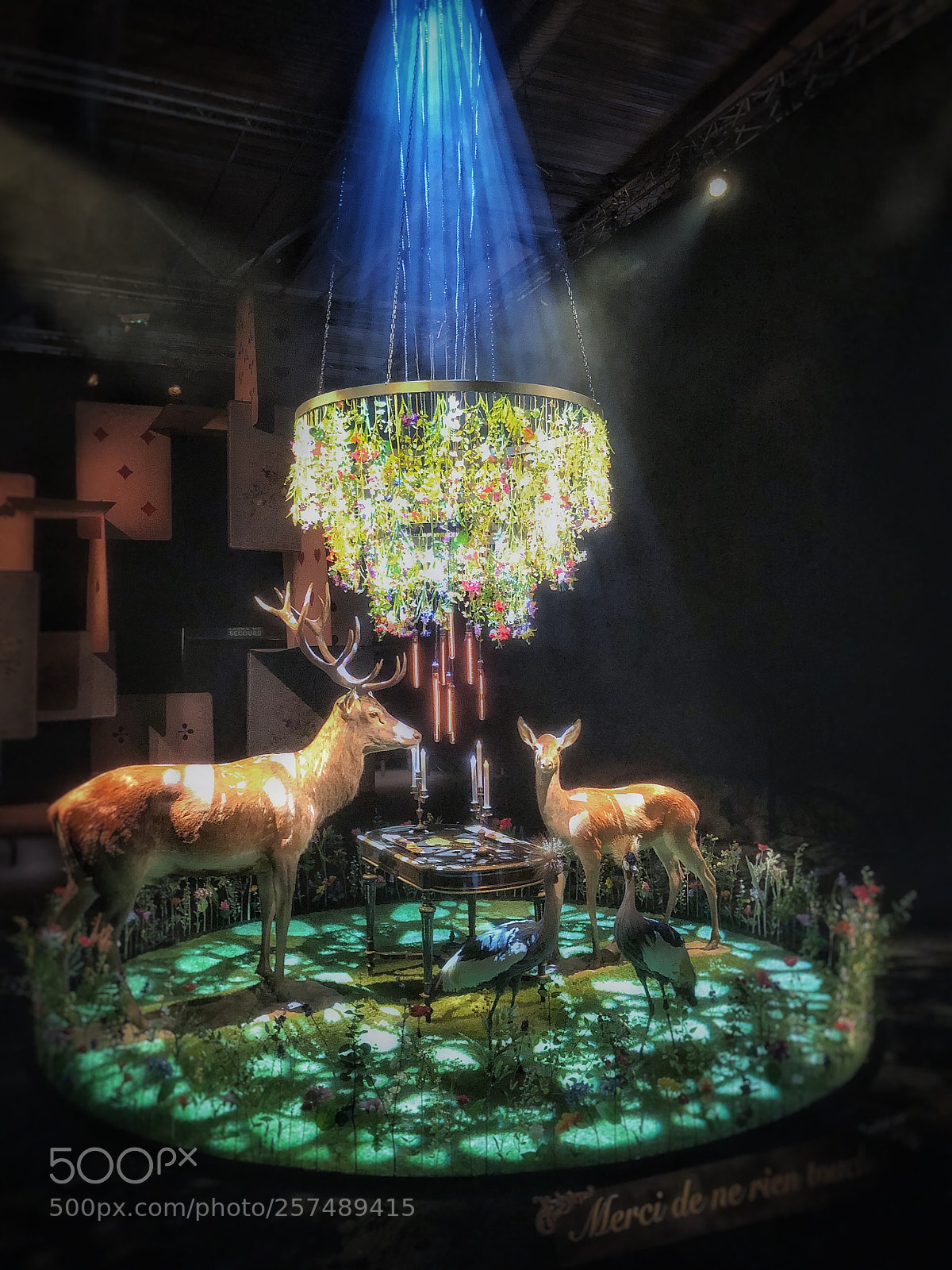 Apple iPhone X sample photo. Foir expo mulhouse photography