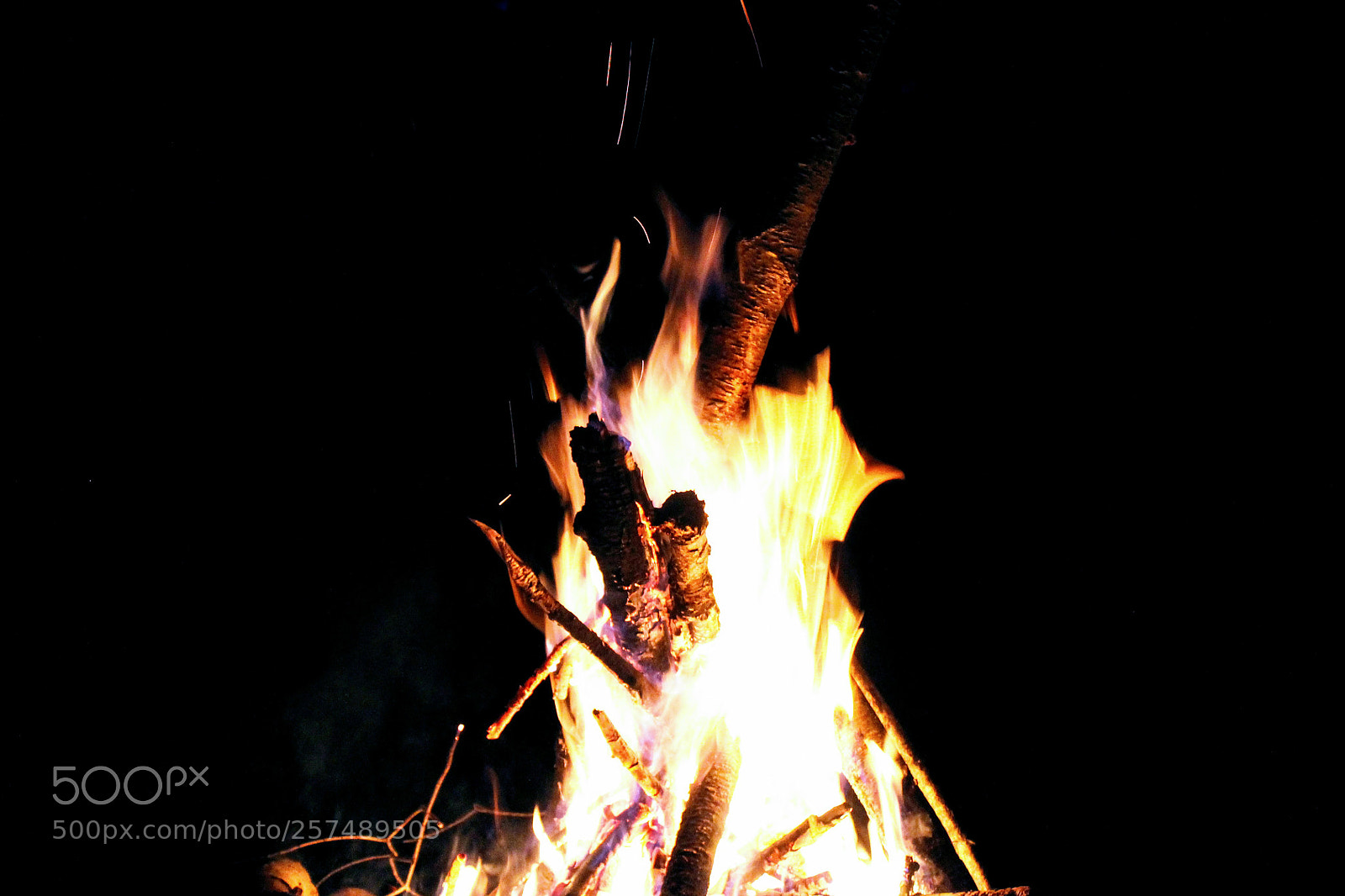 Canon EOS 1100D (EOS Rebel T3 / EOS Kiss X50) sample photo. Primitive trance photography