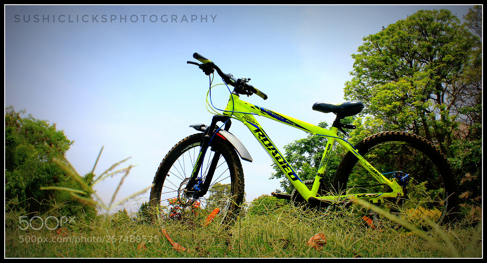 Canon EOS 550D (EOS Rebel T2i / EOS Kiss X4) sample photo. Cycling with nature photography