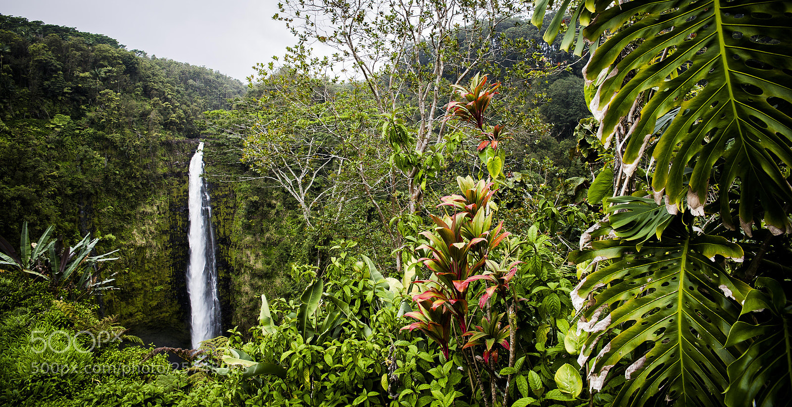 Canon EOS 6D sample photo. Akaka falls photography