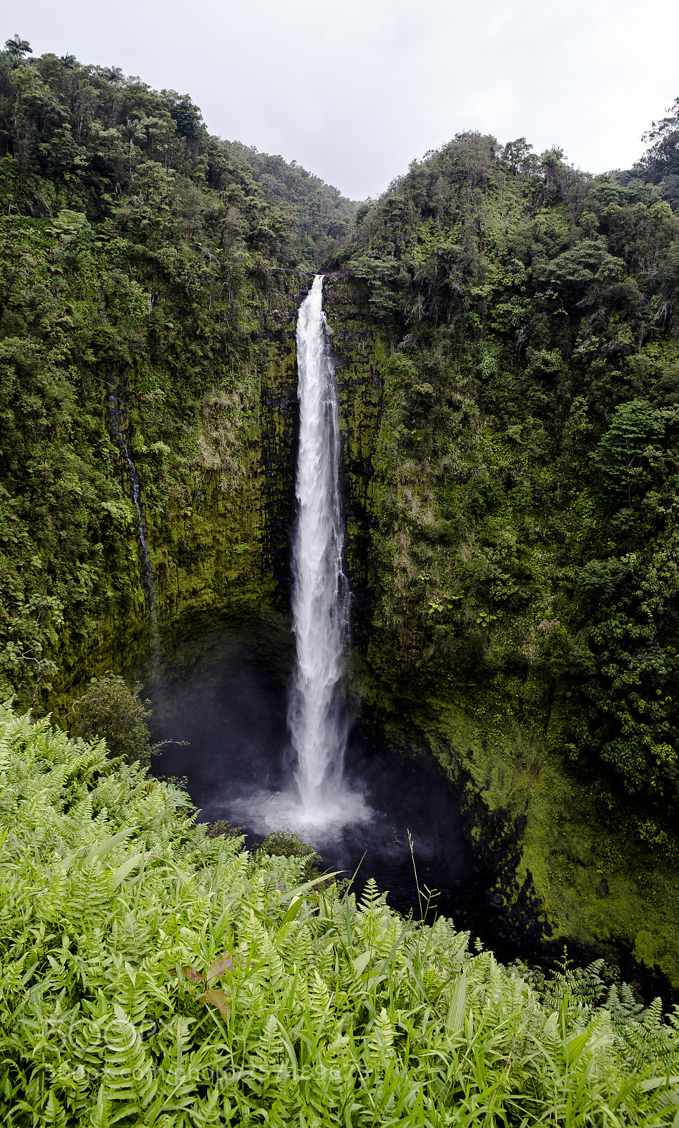 Canon EOS 6D sample photo. Akaka falls photography