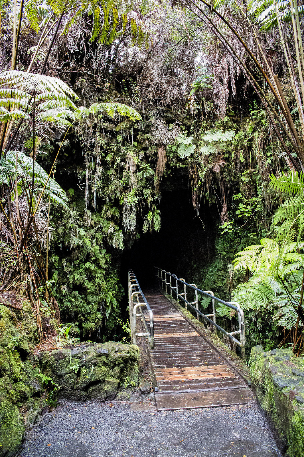 Canon EOS 6D sample photo. Lava tube photography