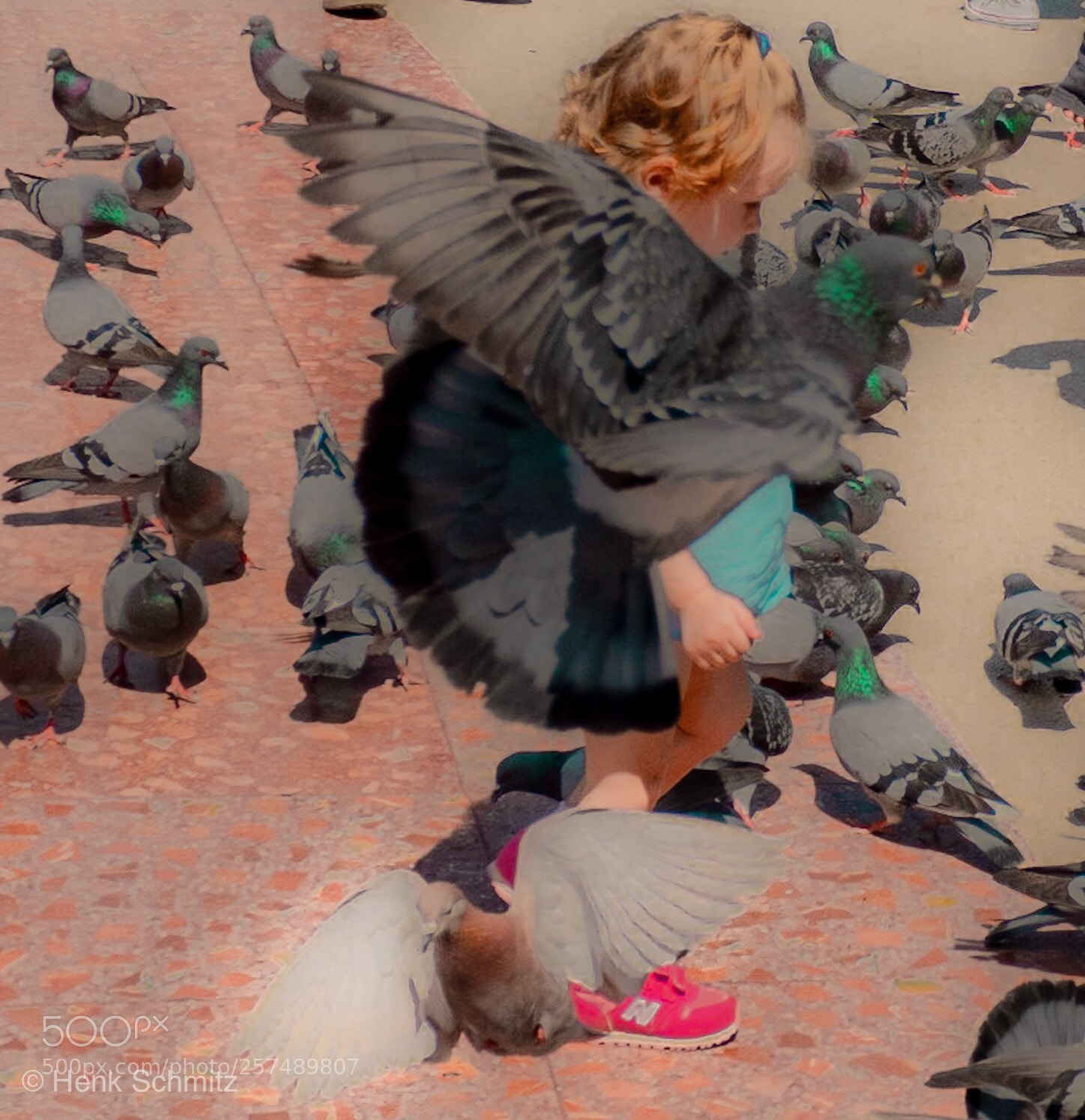 Olympus OM-D E-M1 sample photo. On the wings of photography