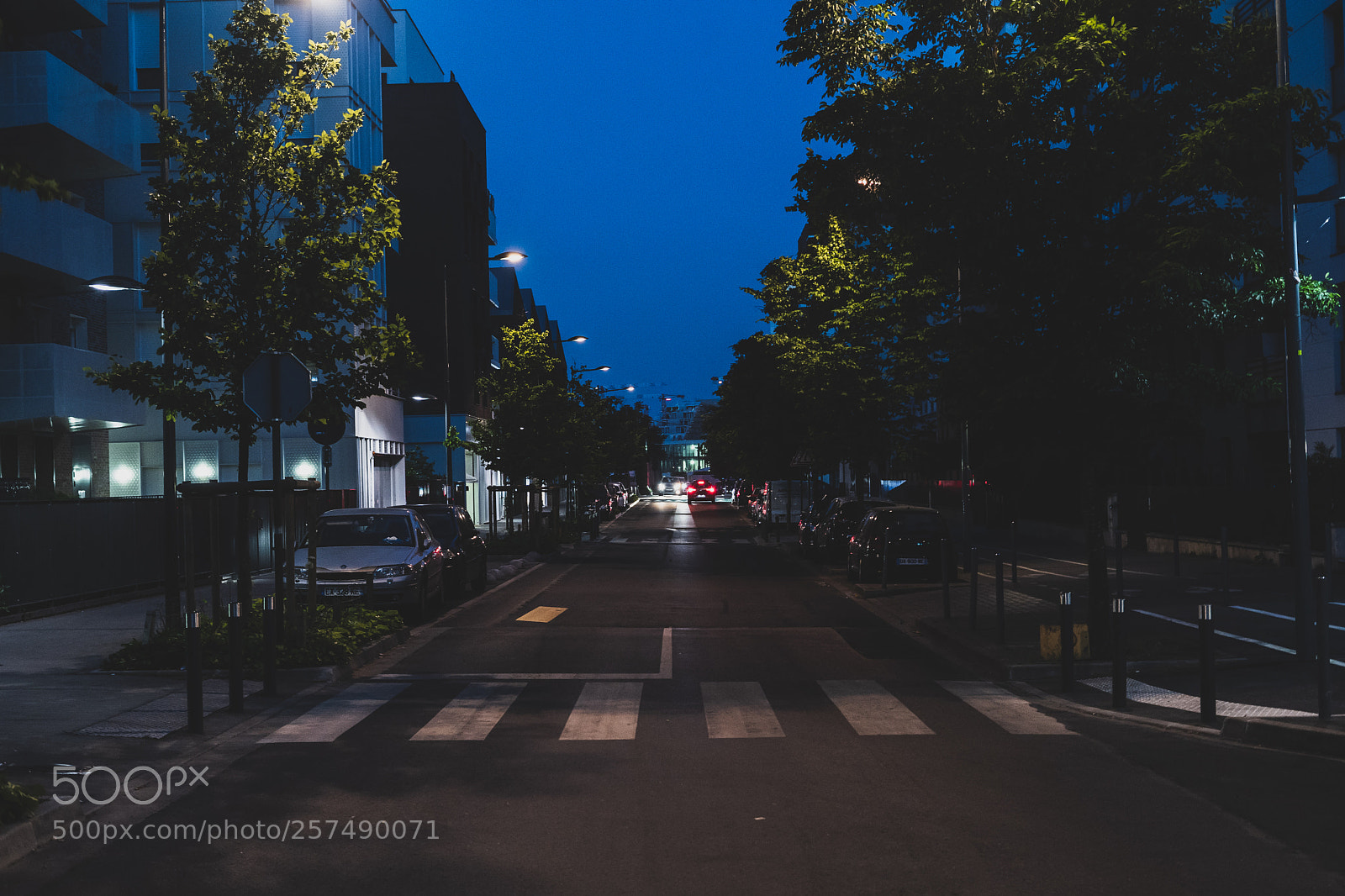 Sony a7 III sample photo. Blue+green photography