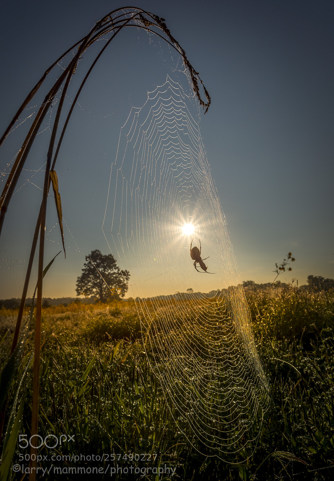 Canon EOS 6D sample photo. Dream catcher photography