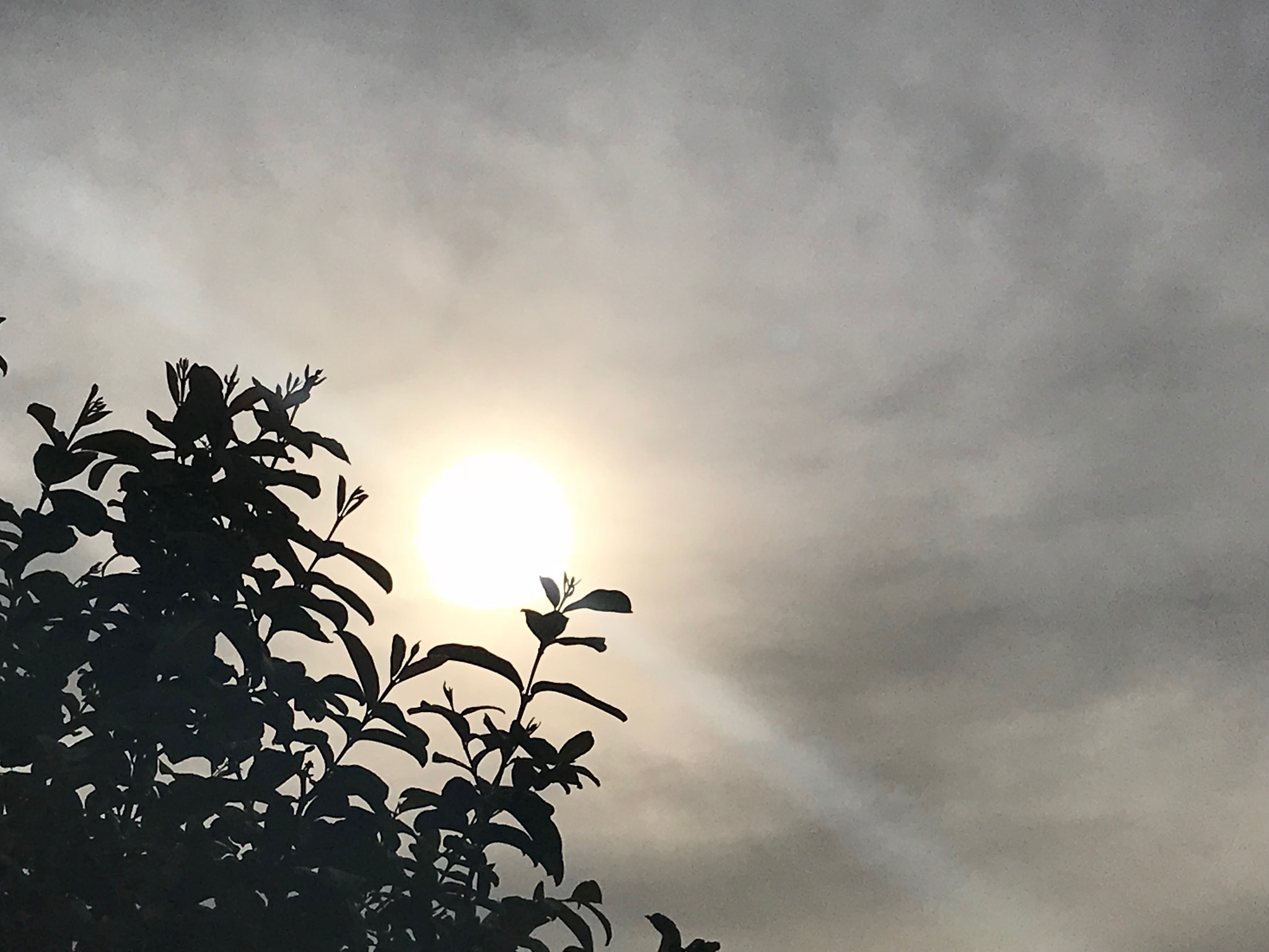 Apple iPad Pro (10.5-inch) sample photo. Sunset photography