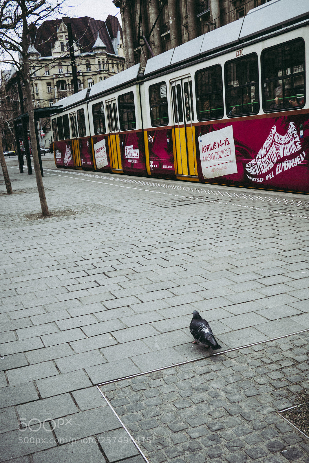 Olympus PEN-F sample photo. Walking in budapest. photography