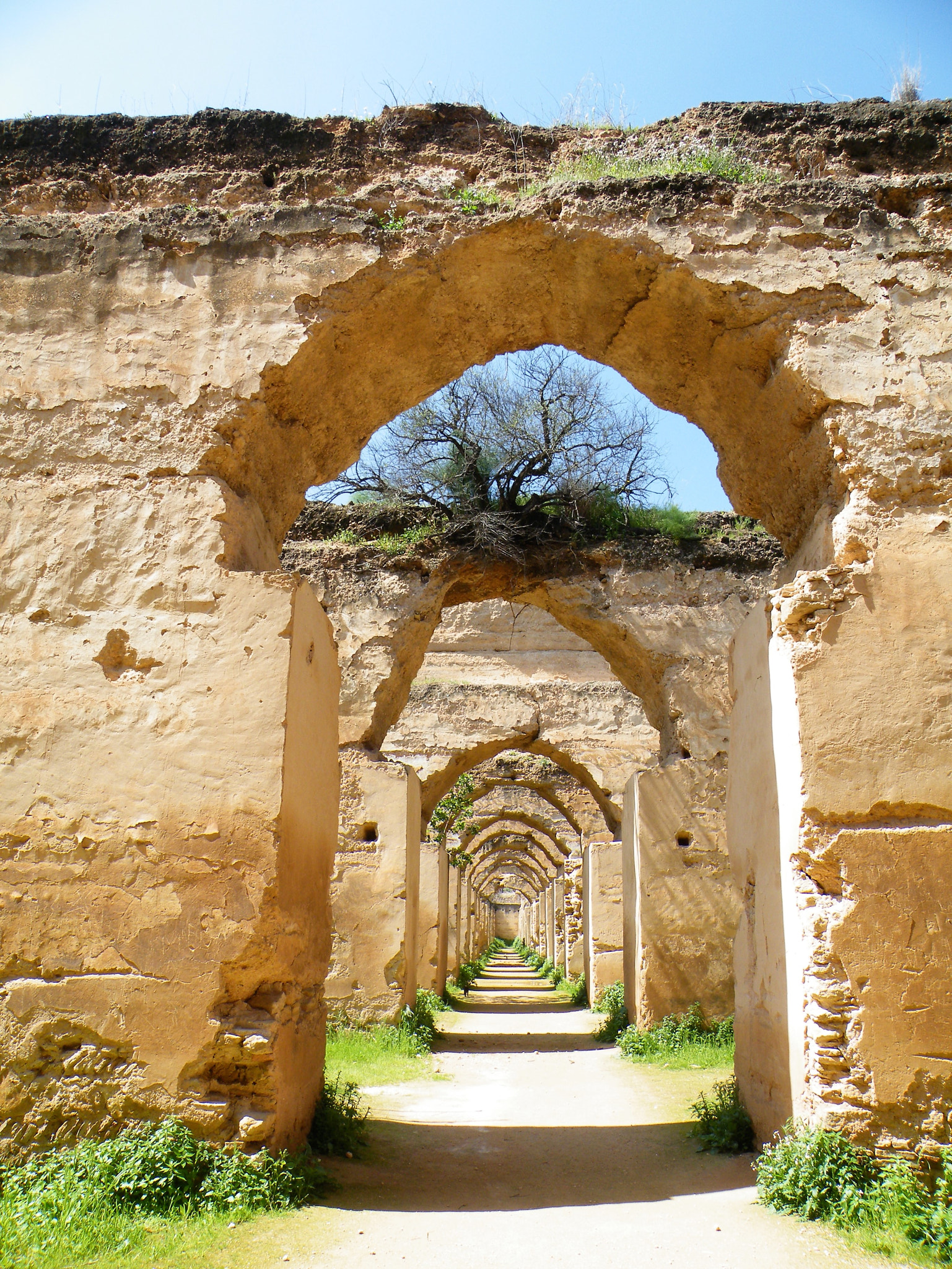 Fujifilm FinePix S8100fd sample photo. Meknes royal stables photography