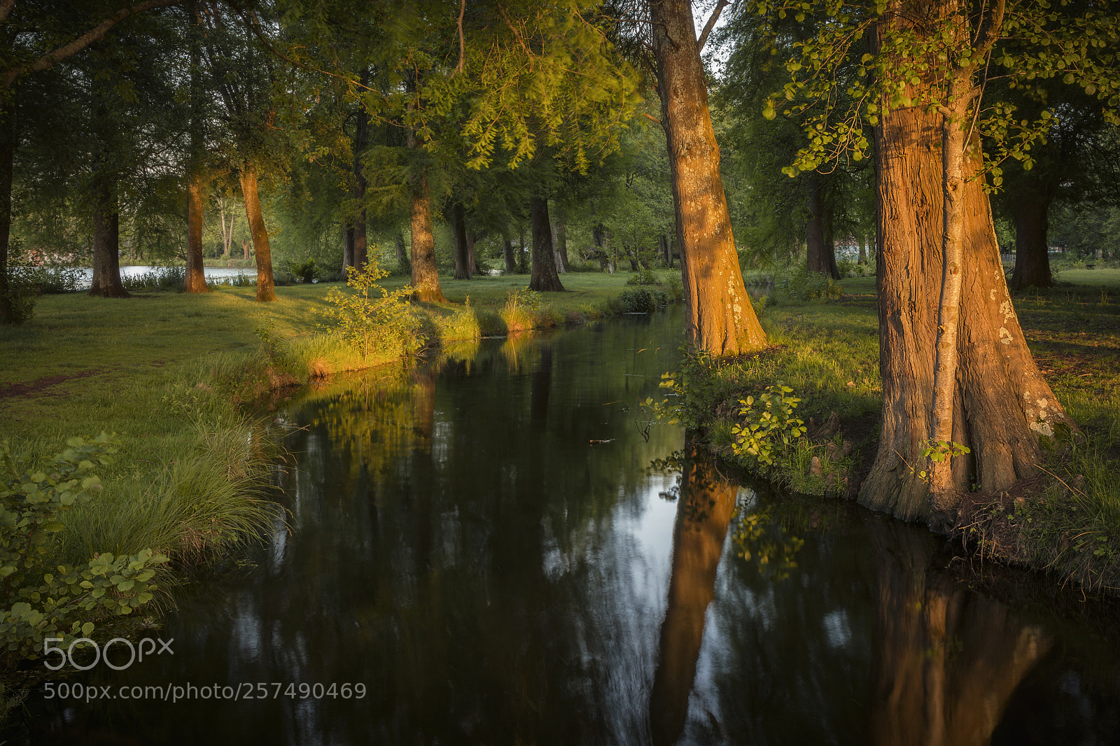 Nikon D5200 sample photo. Meme endroit , autre saison ... photography