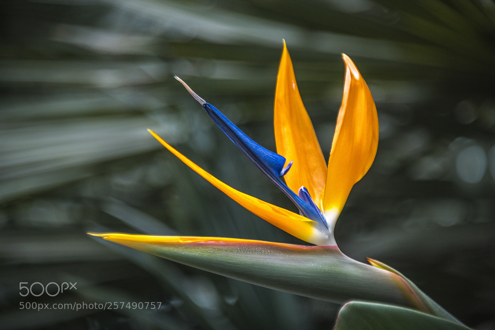 Nikon D850 sample photo. The beauty of nature photography
