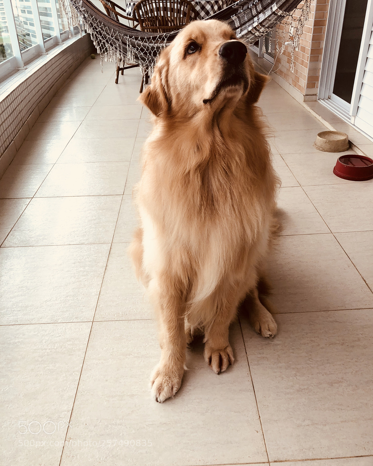 Apple iPhone X sample photo. Watch out! photography