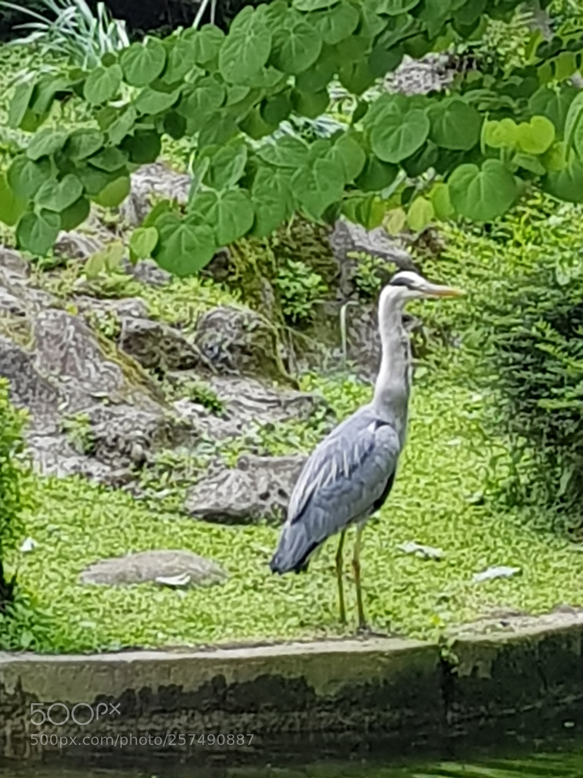 Samsung Galaxy S8 sample photo. Untitled photography