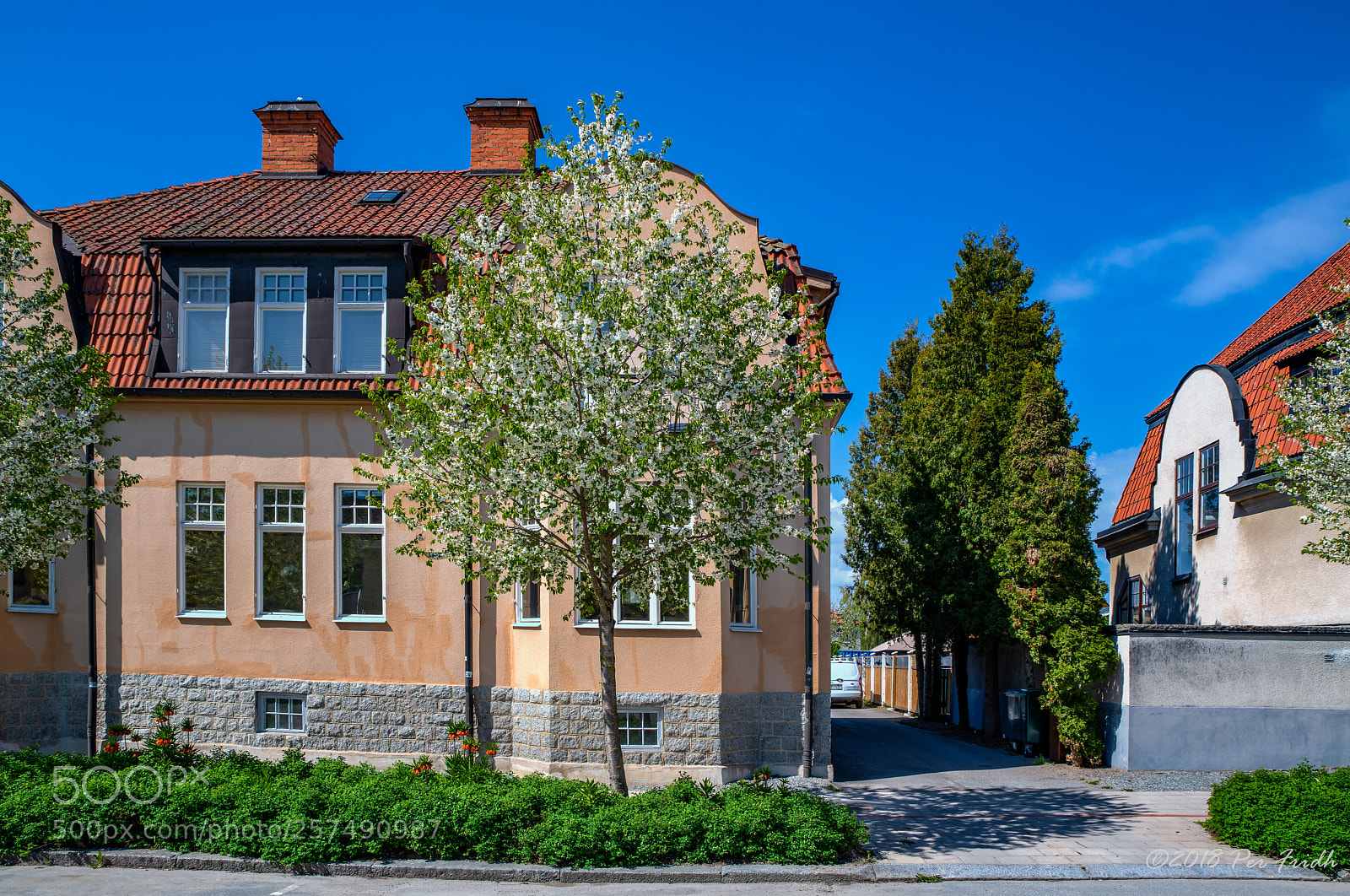 Nikon D850 sample photo. Old houses photography