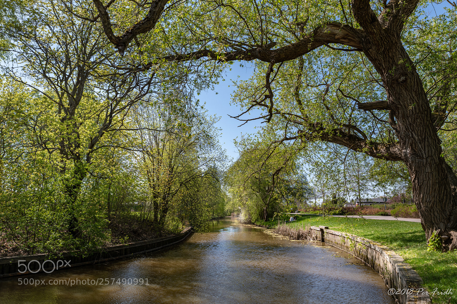 Nikon D850 sample photo. River photography