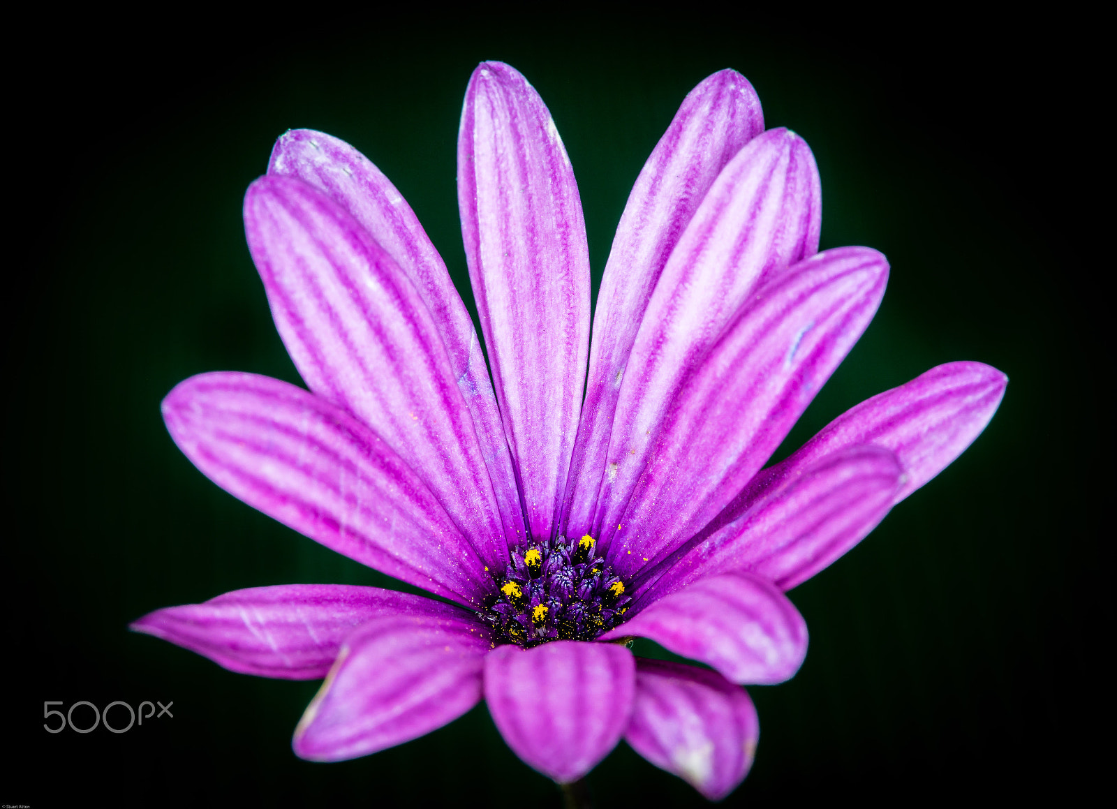 Samsung NX20 sample photo. First glance photography
