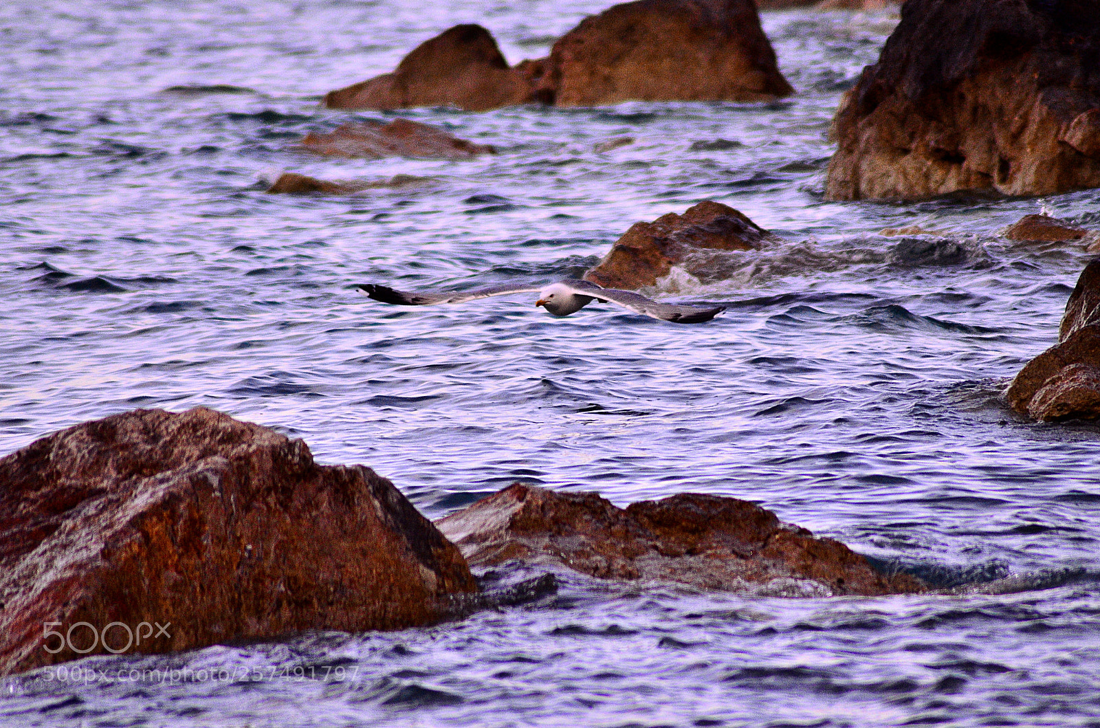Nikon D7000 sample photo. No name 94 photography