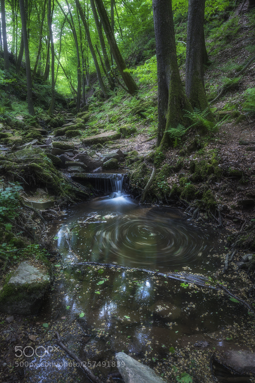 Canon EOS 6D sample photo. [mystic gorge] photography