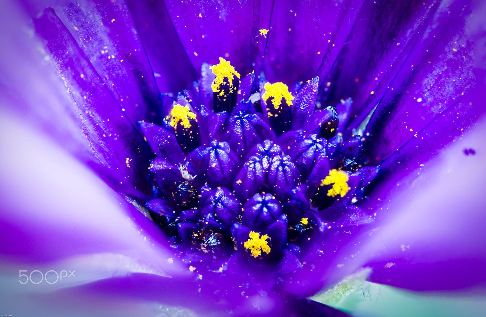 Samsung NX20 sample photo. Deep inside photography