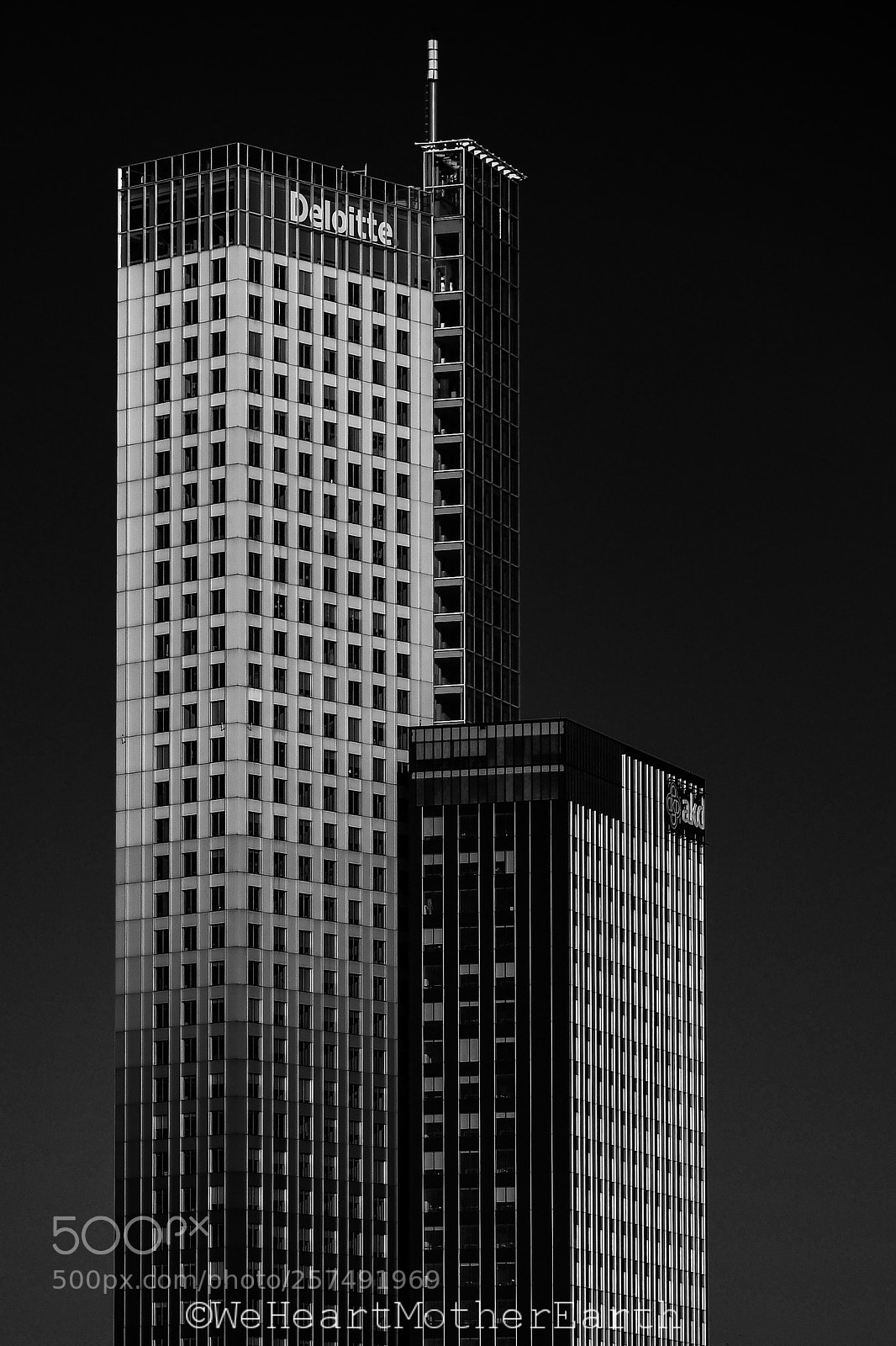 Nikon D500 sample photo. If you believe you photography