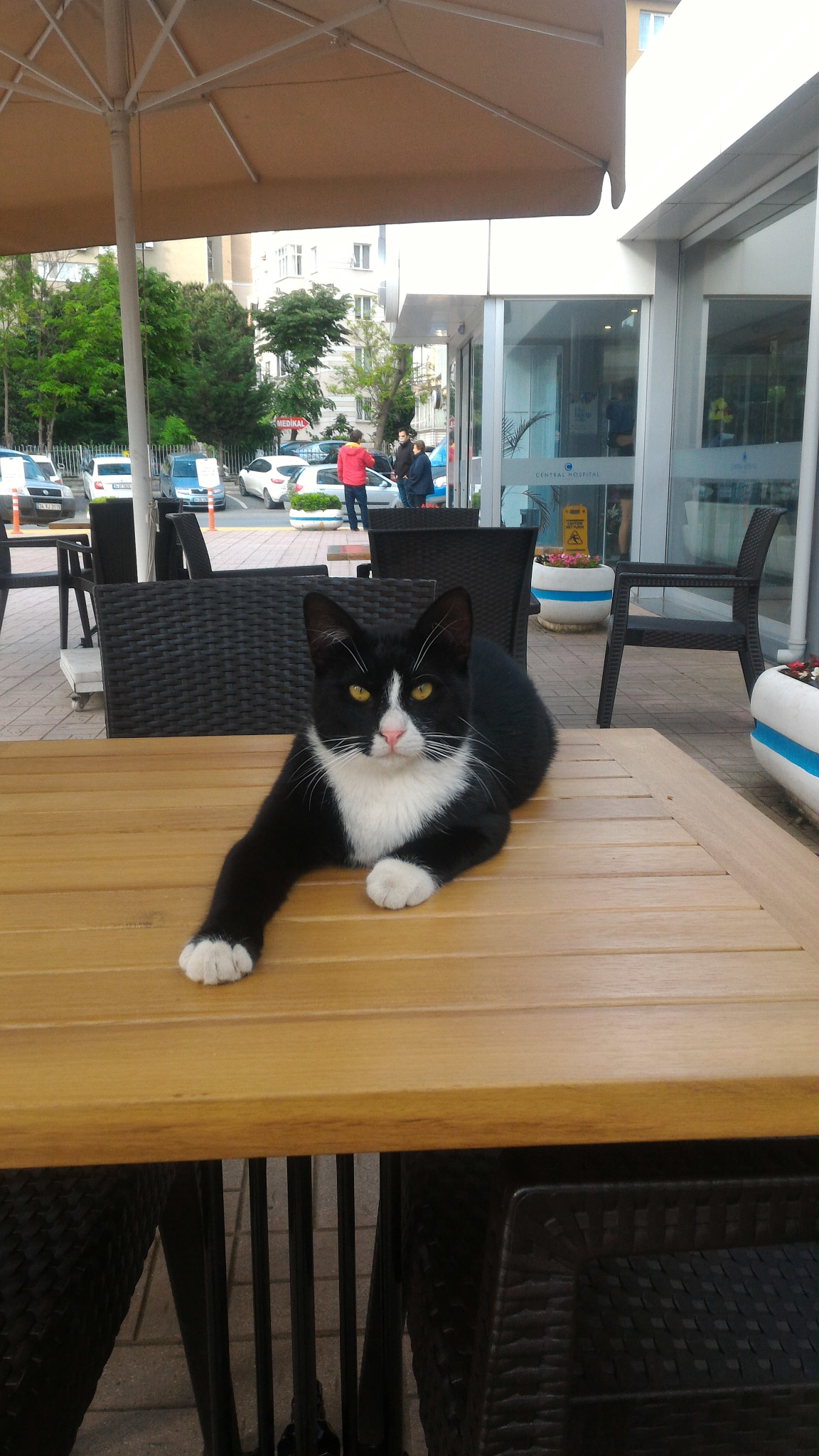 ASUS ZenFone 2 (ZE551ML) sample photo