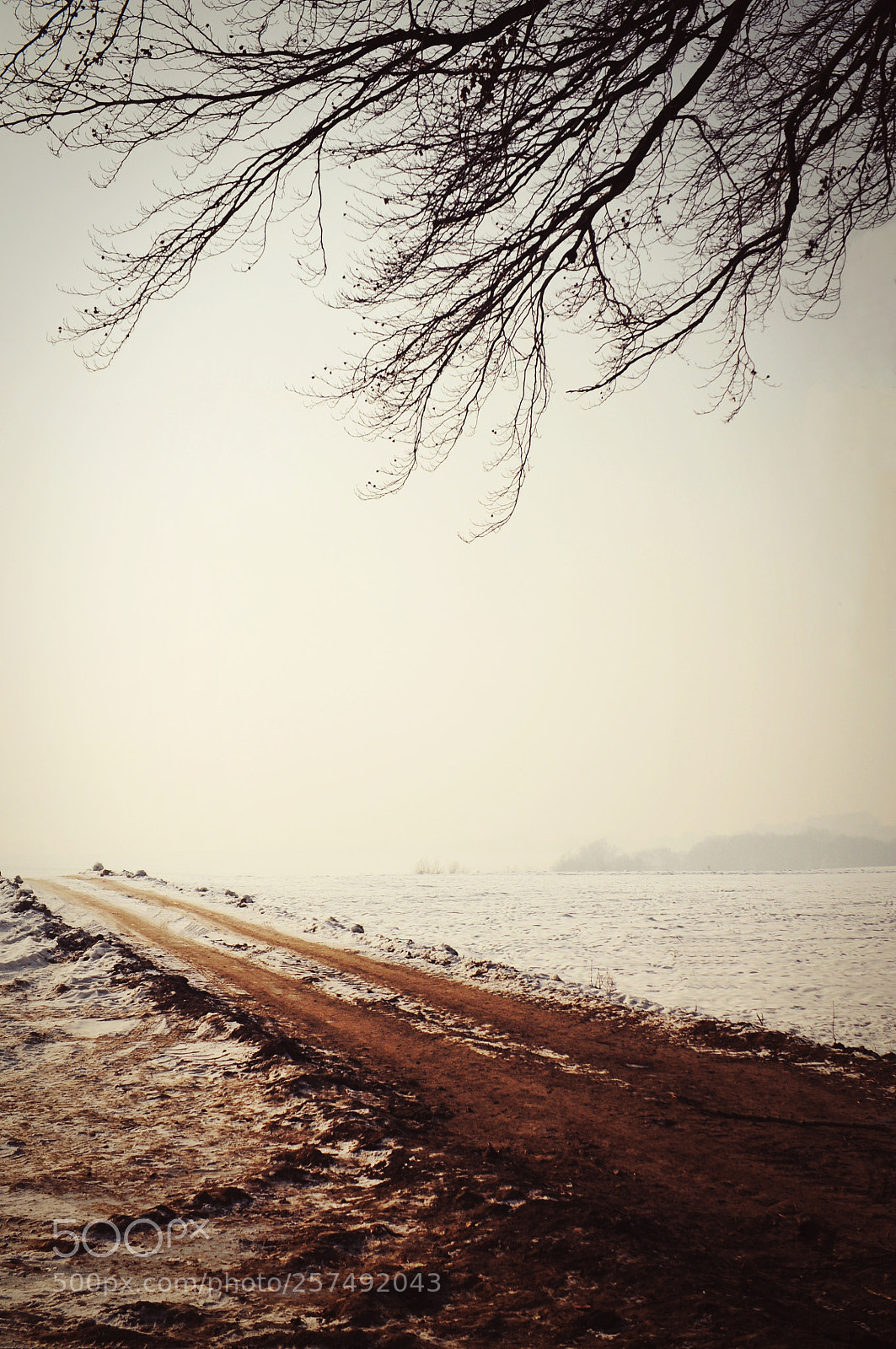 Nikon D300S sample photo. Untitled photography