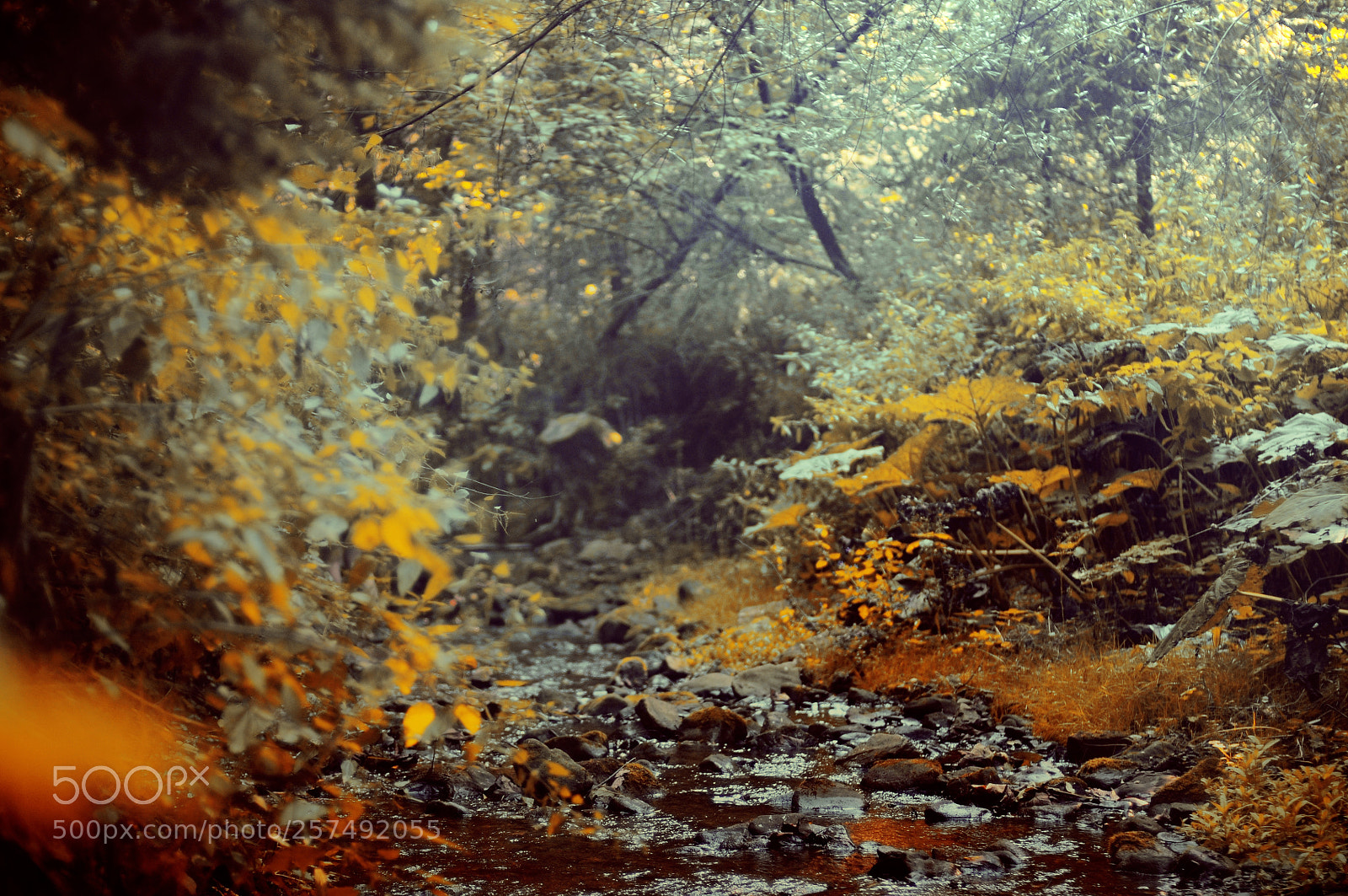 Nikon D300S sample photo. Untitled photography