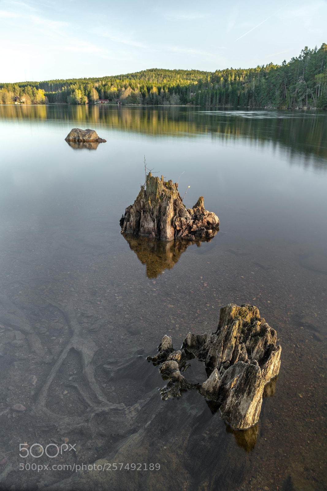Sony a7R III sample photo. Natural photography
