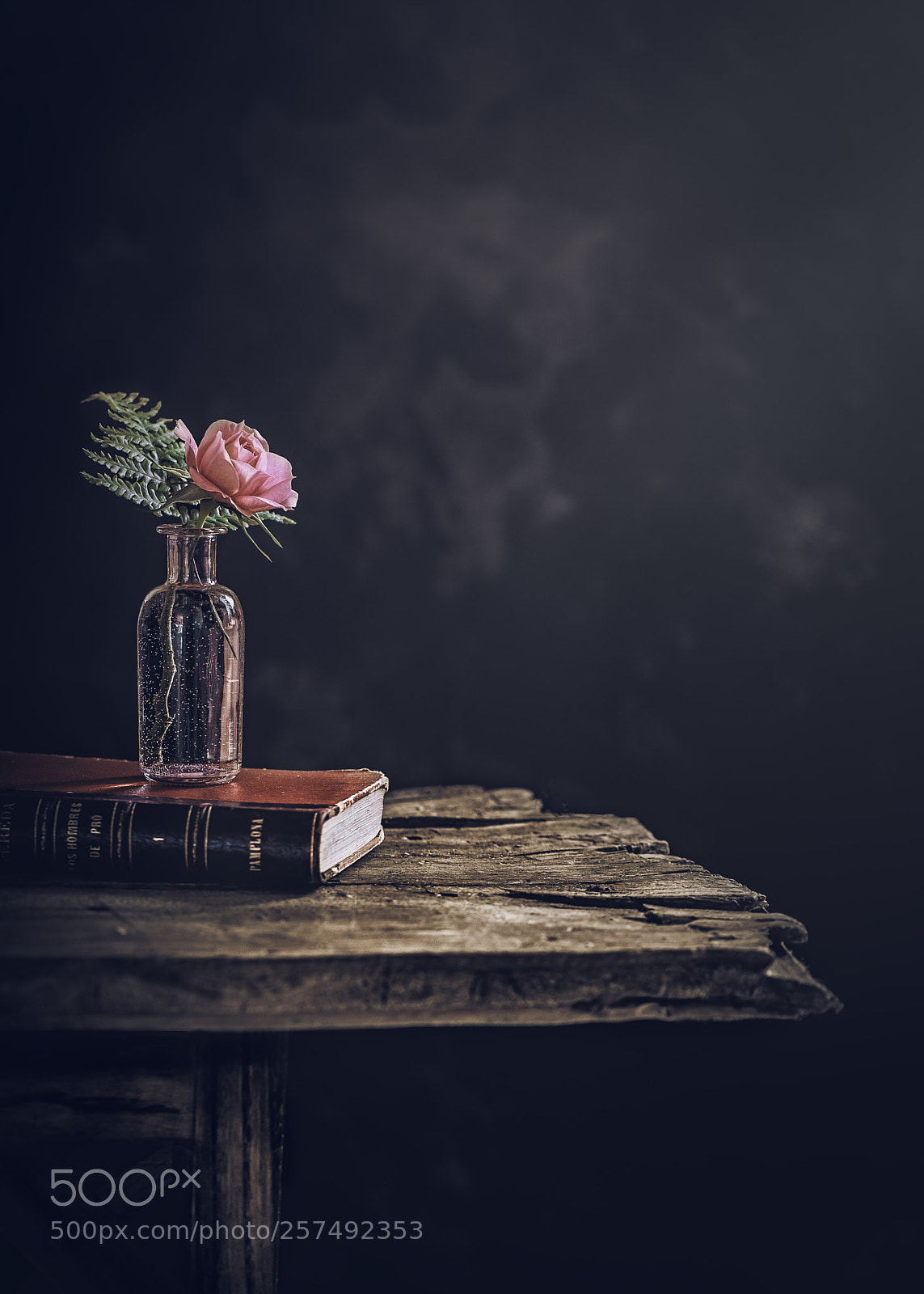 Nikon D600 sample photo. The first rose from photography