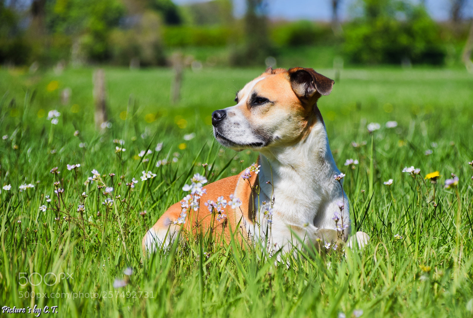 Nikon D3300 sample photo. Sonne genießen :-) photography