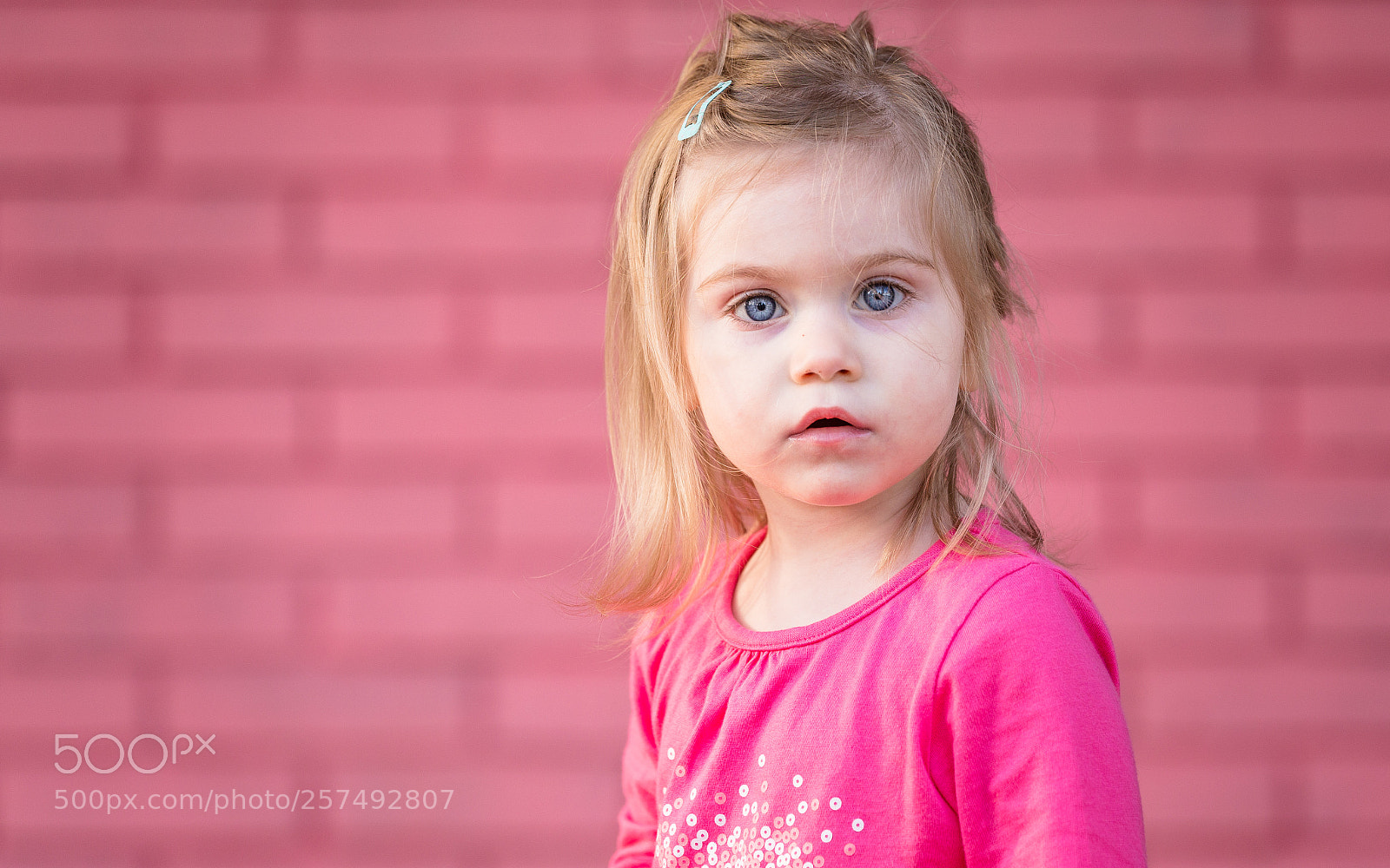 Canon EOS 6D sample photo. Ilse pink golden hour photography