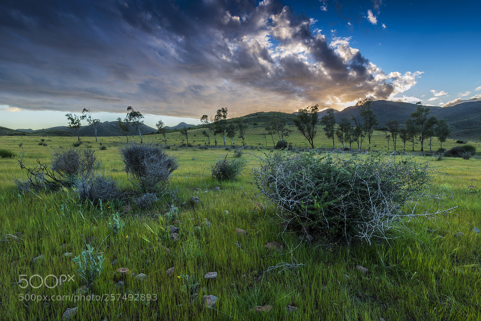 Nikon D800 sample photo. Green fields photography
